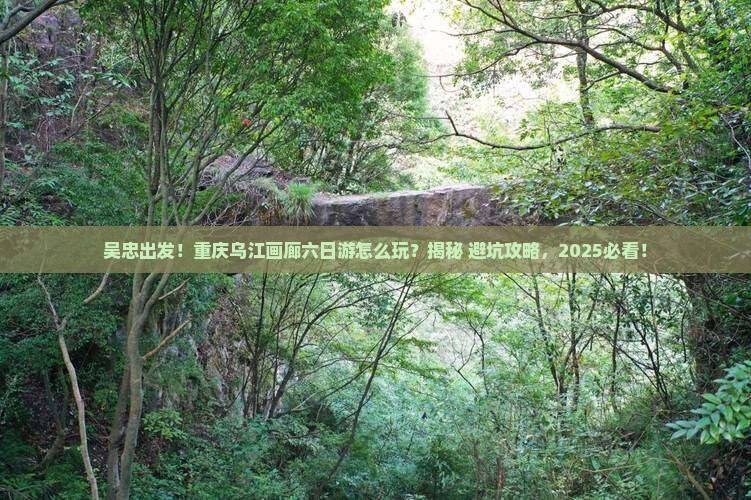 吴忠去重庆乌江画廊六日游