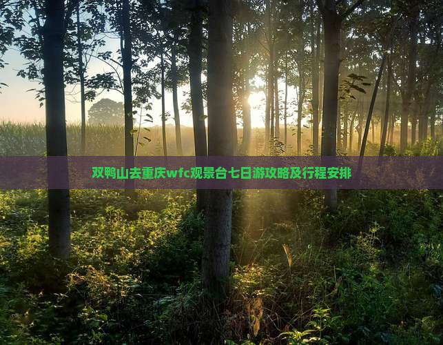 双鸭山去重庆wfc观景台七日游