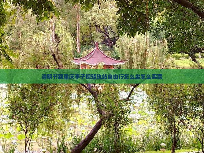 清明节到重庆李子坝轻轨站自由行