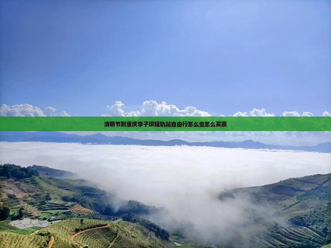 清明节到重庆李子坝轻轨站自由行