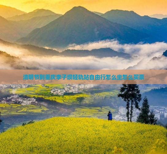 清明节到重庆李子坝轻轨站自由行
