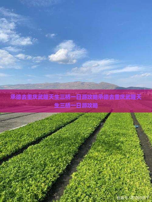承德去重庆武隆天生三桥一日