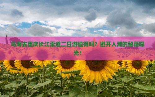 乌海去重庆长江索道二日游 乌海去重庆长江索道二日游