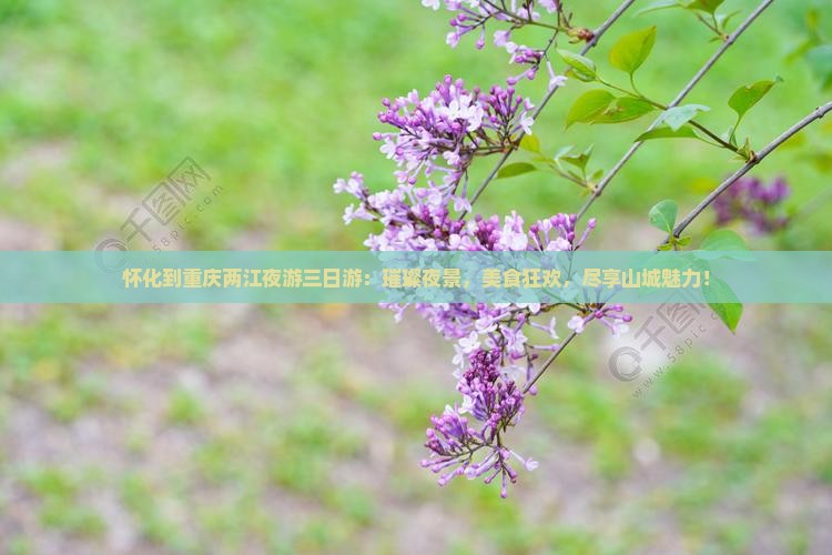 怀化到重庆两江夜游三日游