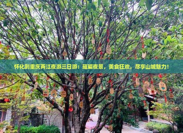 怀化到重庆两江夜游三日游