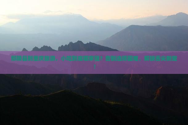 鄢陵县到重庆旅游小吃