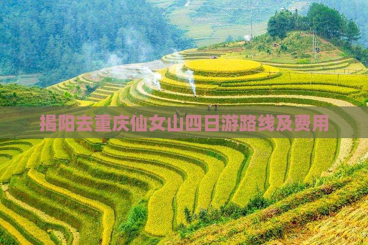 揭阳去重庆仙女山四日游