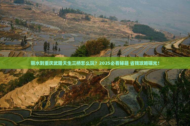 丽水到重庆武隆天生三桥必去地