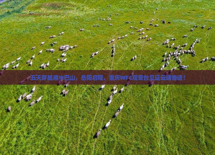 五天穿越湘水巴山，岳阳启程，重庆WFC观景台见证云端奇迹！
