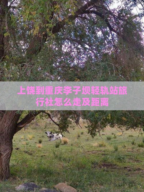 上饶到重庆李子坝轻轨站旅行社怎么走及距离