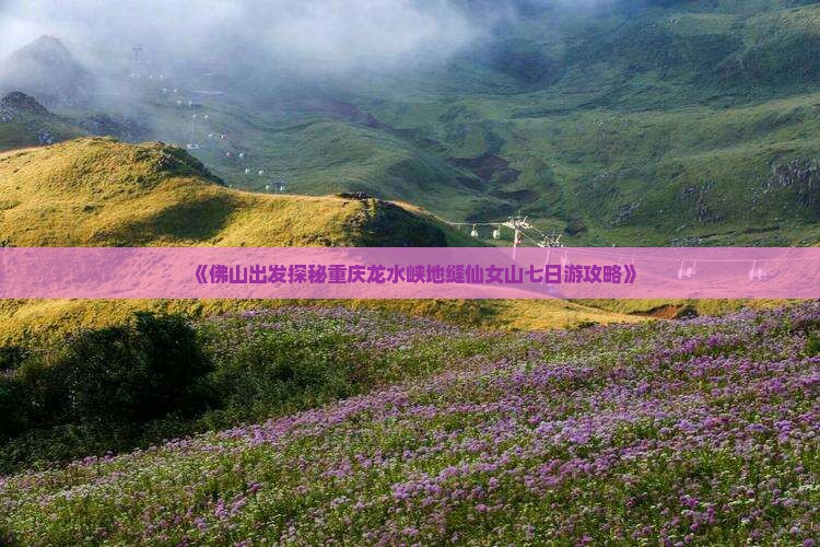 《佛山出发探秘重庆龙水峡地缝仙女山七日游攻略》