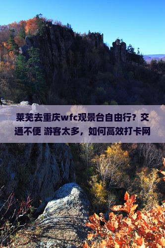 莱芜去重庆wfc观景台自由行？交通不便+游客太多，如何高效打卡网红地标？