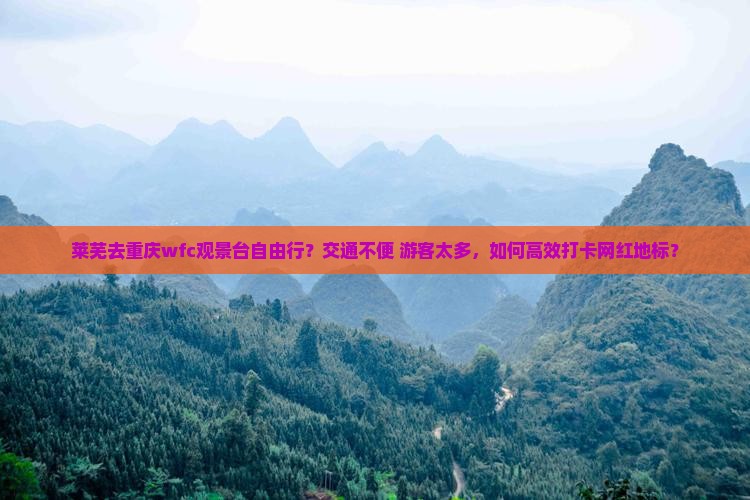 莱芜去重庆wfc观景台自由行？交通不便+游客太多，如何高效打卡网红地标？