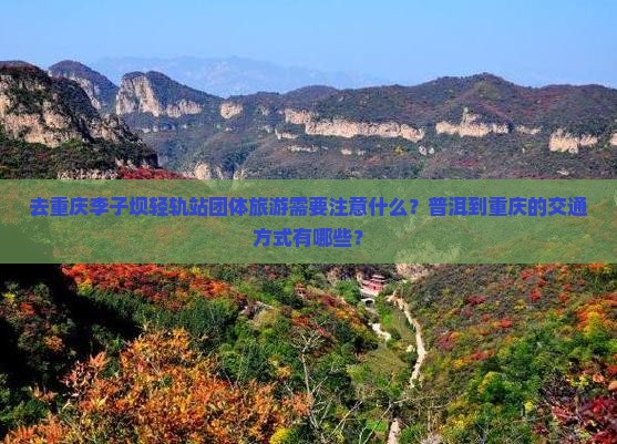 去重庆李子坝轻轨站团体旅游需要注意什么？普洱到重庆的交通方式有哪些？
