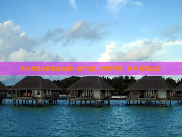 大庆去重庆武隆自由团？油价高涨、假期有限，拼车+露营走起！