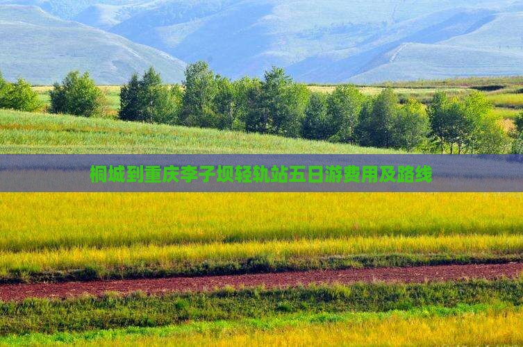 桐城到重庆李子坝轻轨站五日游费用及路线