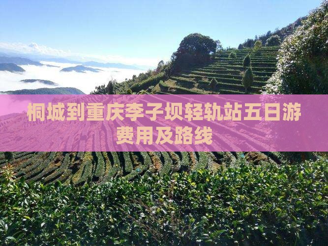 桐城到重庆李子坝轻轨站五日游费用及路线