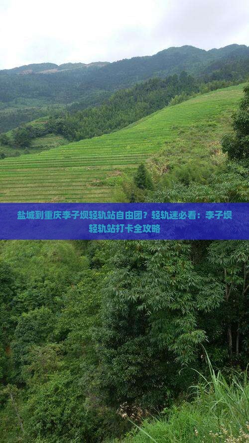 盐城到重庆李子坝轻轨站自由团？轻轨迷必看：李子坝轻轨站打卡全攻略