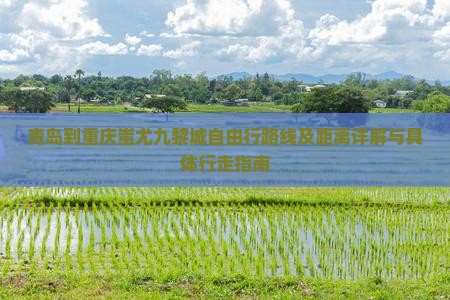 青岛到重庆蚩尤九黎城自由行路线及距离详解与具体行走指南