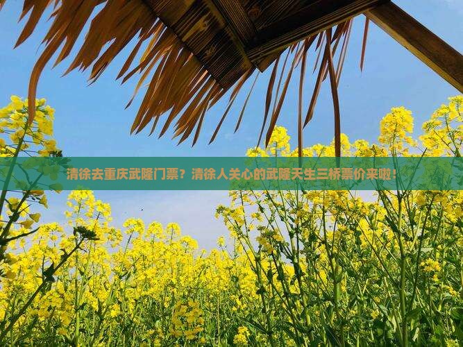 清徐去重庆武隆门票？清徐人关心的武隆天生三桥票价来啦！