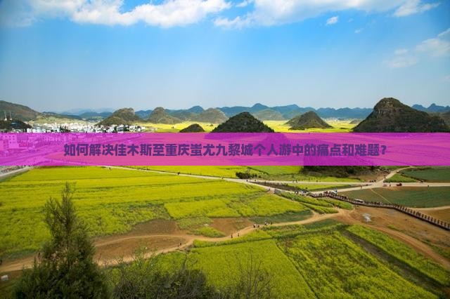 如何解决佳木斯至重庆蚩尤九黎城个人游中的痛点和难题？