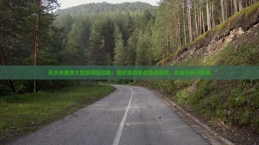 天水去重庆大型旅游团攻略：重庆旅游景点路线推荐，自由行旅行指南