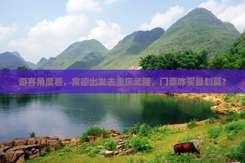 游客角度看，常德出发去重庆武隆，门票咋买最划算？