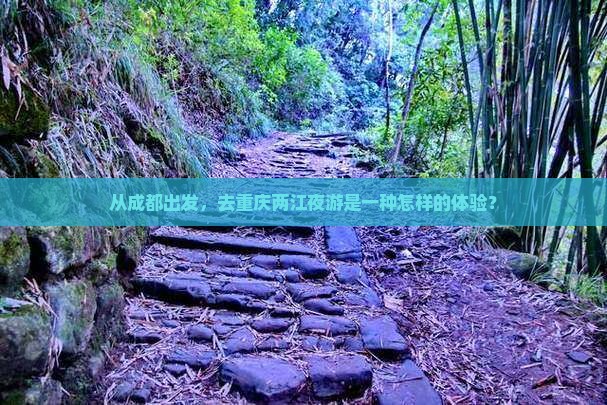 从成都出发，去重庆两江夜游是一种怎样的体验？