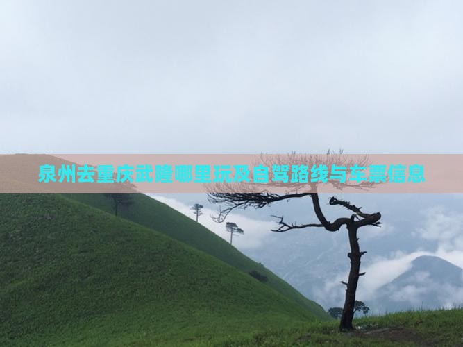 泉州去重庆武隆哪里玩及自驾路线与车票信息