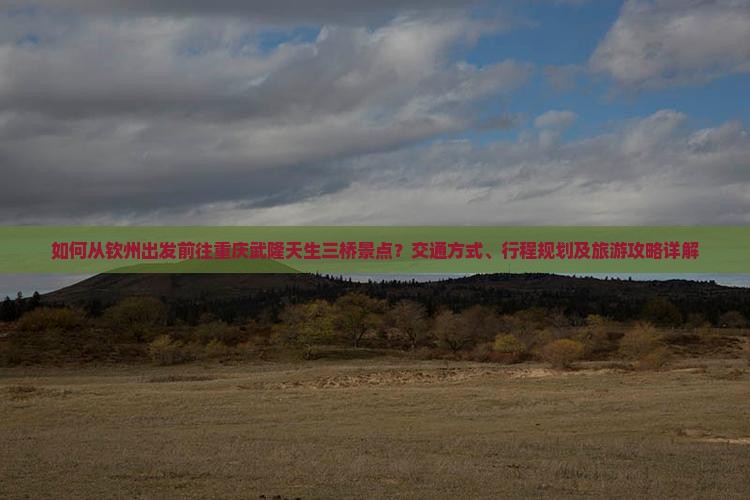 如何从钦州出发前往重庆武隆天生三桥景点？交通方式、行程规划及旅游攻略详解