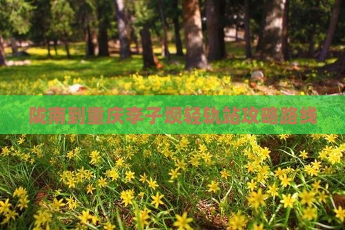 陇南到重庆李子坝轻轨站攻略路线