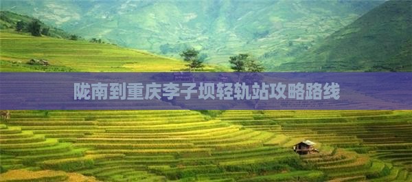 陇南到重庆李子坝轻轨站攻略路线