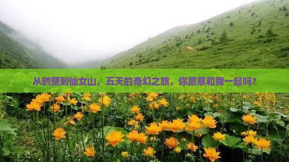 从鹤壁到仙女山，五天的奇幻之旅，你愿意和我一起吗？