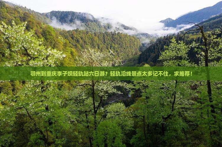 鄂州到重庆李子坝轻轨站六日游？轻轨沿线景点太多记不住，求推荐！