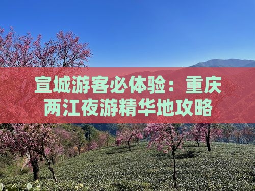 宣城游客必体验：重庆两江夜游精华地攻略