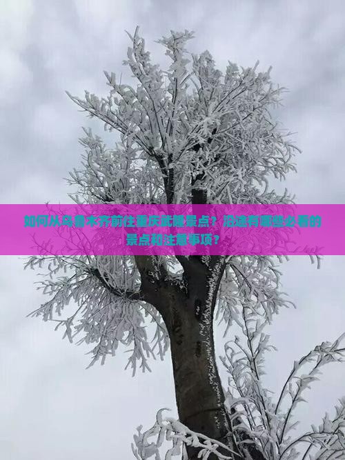 如何从乌鲁木齐前往重庆武隆景点？沿途有哪些必看的景点和注意事项？
