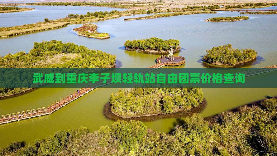 武威到重庆李子坝轻轨站自由团票价格查询