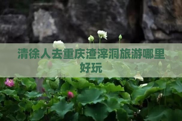清徐人去重庆渣滓洞旅游哪里好玩