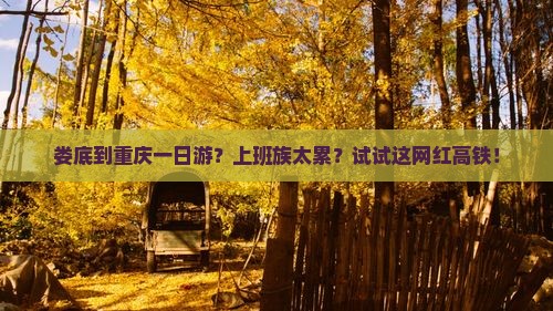 娄底到重庆一日游？上班族太累？试试这网红高铁！