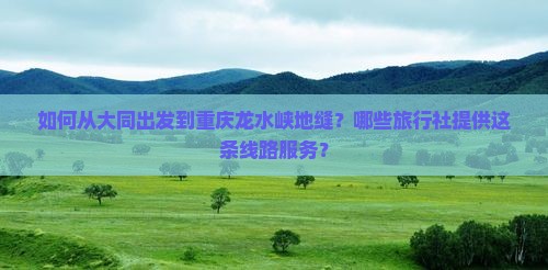如何从大同出发到重庆龙水峡地缝？哪些旅行社提供这条线路服务？