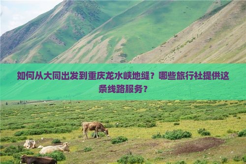 如何从大同出发到重庆龙水峡地缝？哪些旅行社提供这条线路服务？