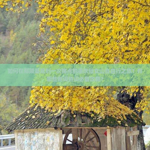 如何在鄢陵县规划一次痛点的重庆仙女山自由行之旅？有哪些新词热词必备攻略？