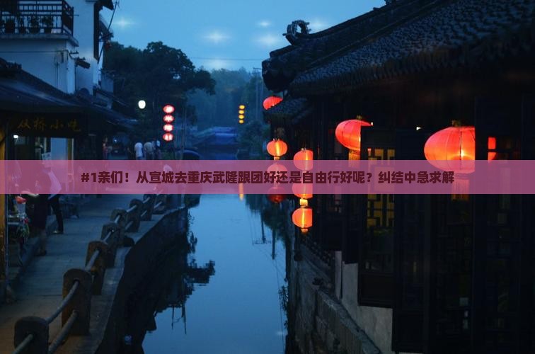 #1亲们！从宣城去重庆武隆跟团好还是自由行好呢？纠结中急求解