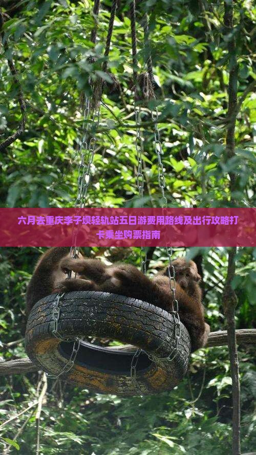 六月去重庆李子坝轻轨站五日游费用路线及出行攻略打卡乘坐购票指南