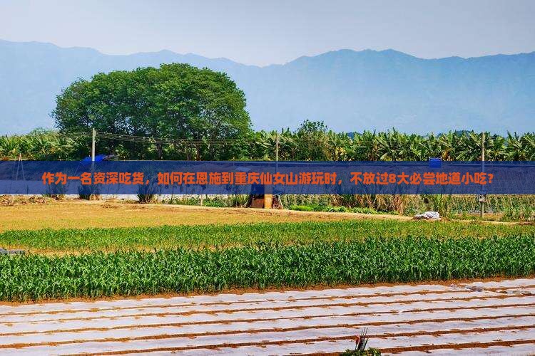 作为一名资深吃货，如何在恩施到重庆仙女山游玩时，不放过8大必尝地道小吃？