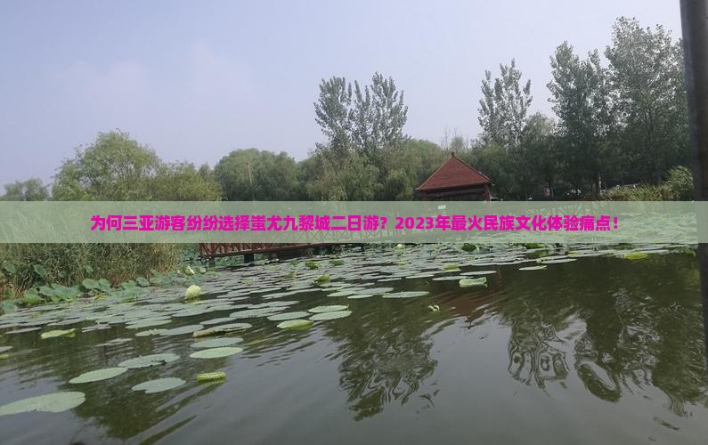 为何三亚游客纷纷选择蚩尤九黎城二日游？2023年最火民族文化体验痛点！
