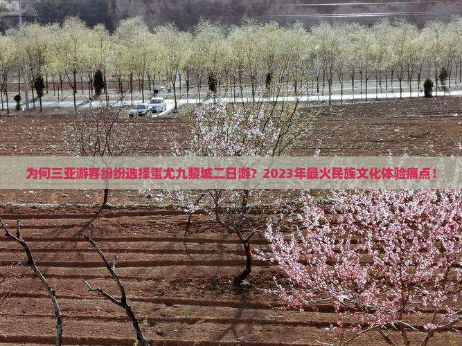 为何三亚游客纷纷选择蚩尤九黎城二日游？2023年最火民族文化体验痛点！