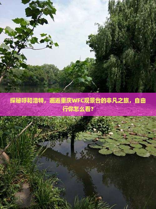探秘呼和浩特，邂逅重庆WFC观景台的非凡之旅，自由行你怎么看？