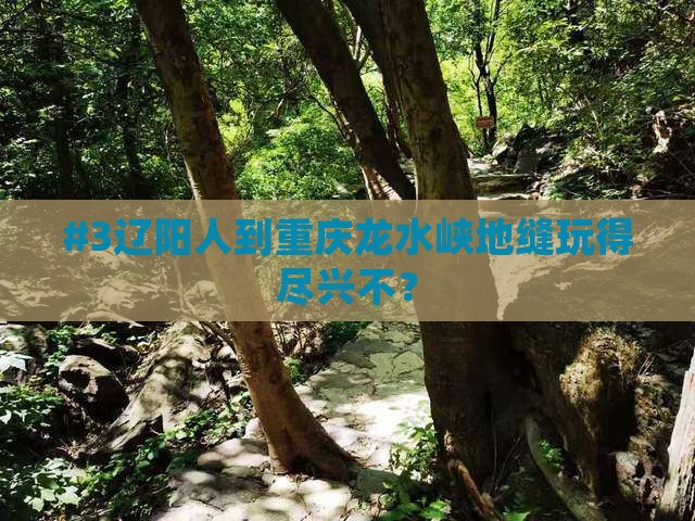 #3辽阳人到重庆龙水峡地缝玩得尽兴不？