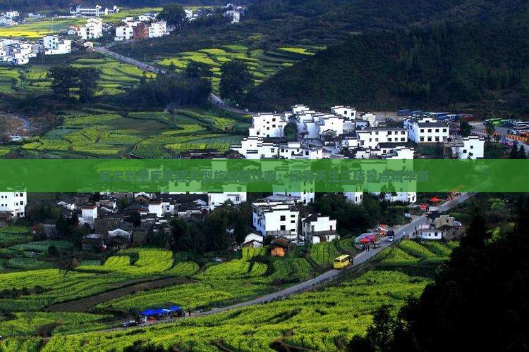 吴忠到重庆武隆大型旅游团攻略：探寻天生三桥景点精华游